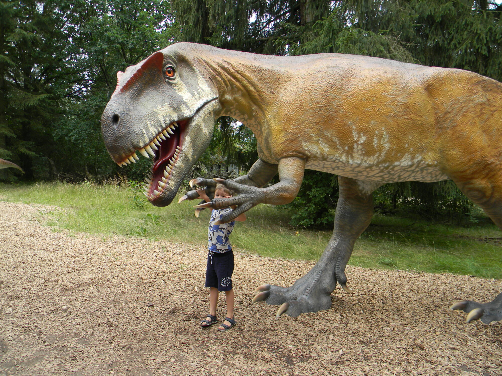 Dino i Givskud Zoo