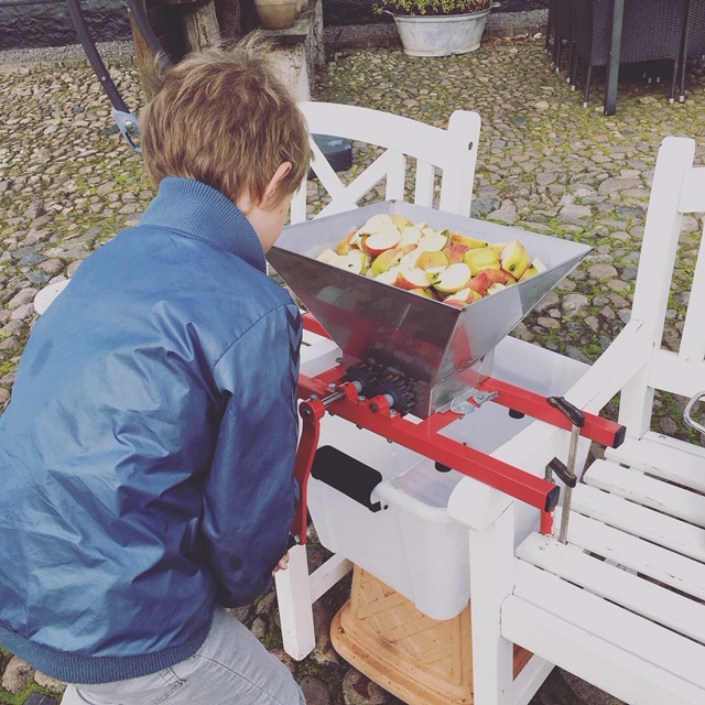 Xander kværner æbler