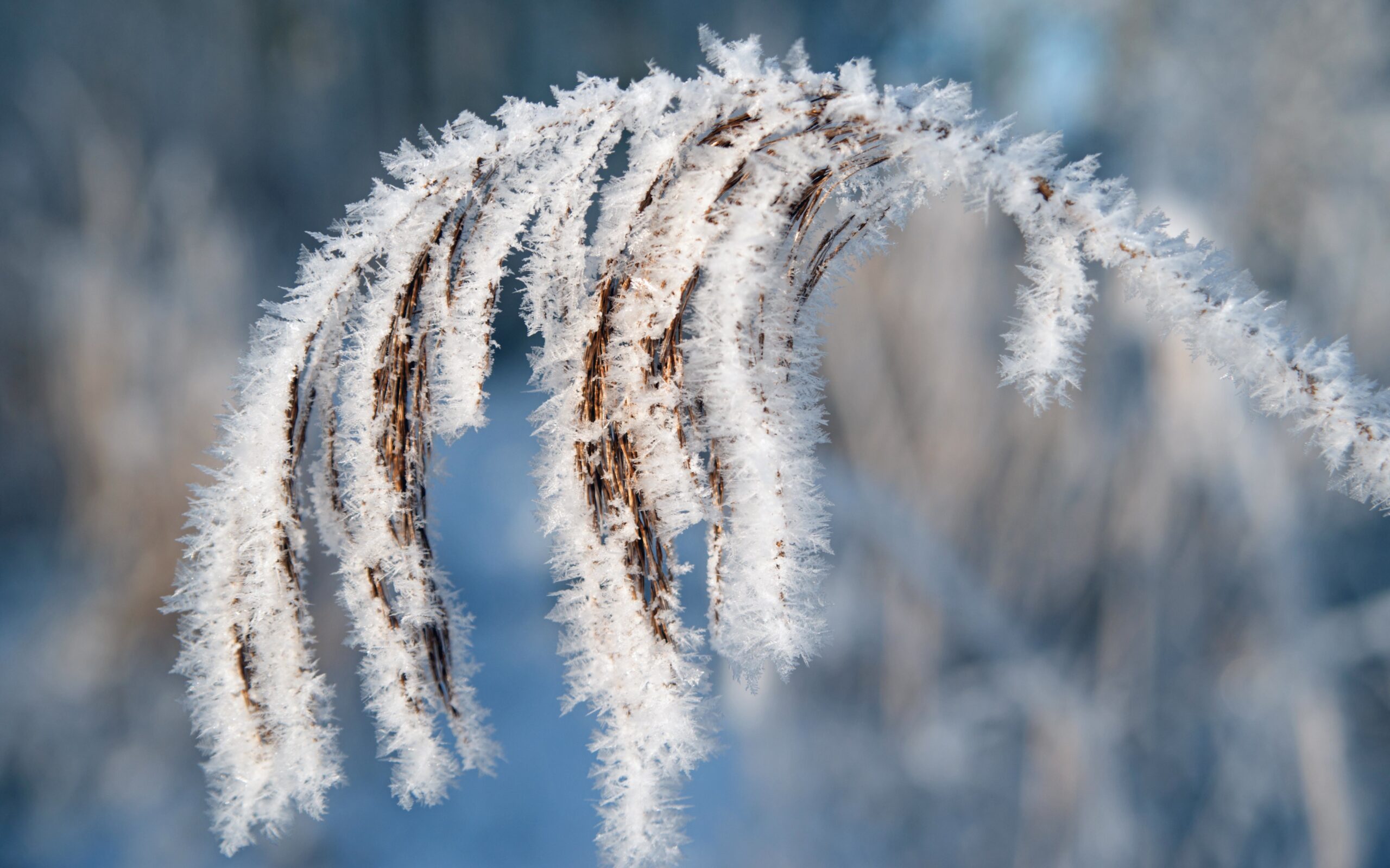 Naturen i smuk forvandling